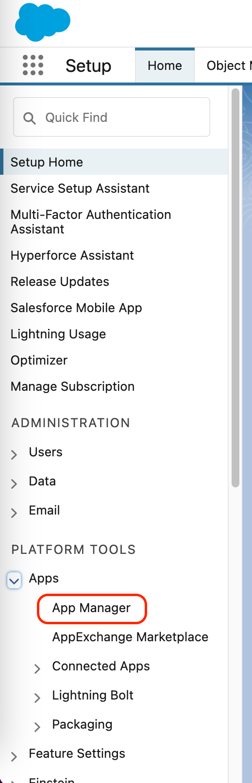 Salesforce App Manager